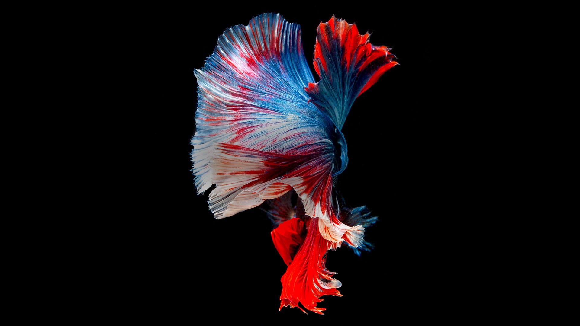 A beautiful landscape responsive image example